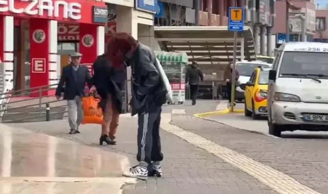 Bursa'da lodos yaşamı olumsuz etkiledi