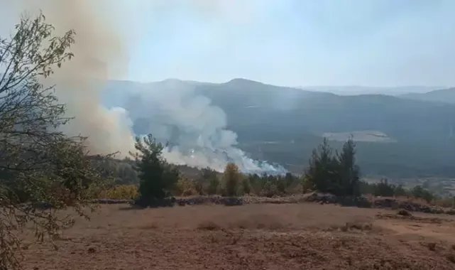 Bursa’nın 2 ilçesinde orman yangını