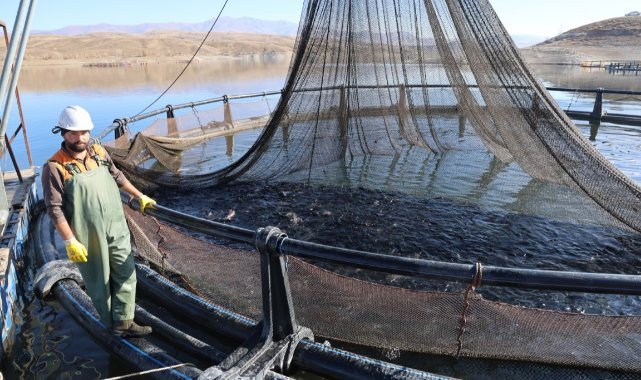 Dünyaya pazarlanan somonlar, denize kıyısı olmayan Sivas'ta olgunlaşıyor