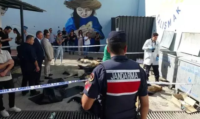 Gebze'de hayvan bakım merkezinde 45 hayvanın ölümüyle ilgili otopsi raporu; vurma, çarpma, kesici ve ateşli silah yarası yok