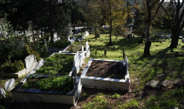 İstanbul’da ilginç olay, Eyüpsultan Belediyesi borcuna karşılık mezarlık verdi