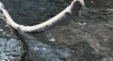 Körfezde bu defa petrol kaynaklı kirlilik: Deniz yüzeyi siyah yağ tabakası ile kaplandı