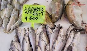 Mezgitin kilosu 750 lirayı buldu; yarı fiyatına 'zehir' uyarısı