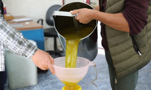 Seferihisar’da Zeytinyağı Sezonu Açıldı