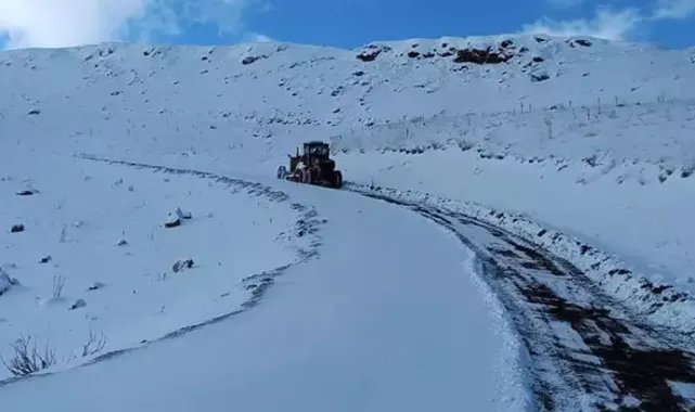 Van'ın yüksek kesimlerine kar yağdı
