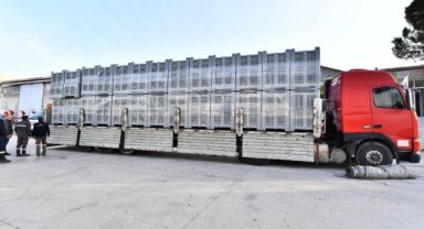 Zeytinde kalite kaybının önüne geçiliyor: İzmir’in zeytinleri çuvallardan kurtulup kasalarda toplanacak