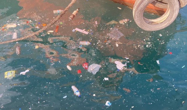 Akdeniz’de oksijen seviyesini düşüren kirlilik: Mersin ve İskenderun körfezleri öne çıkıyor
