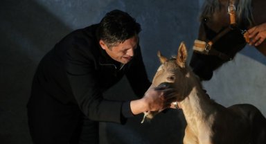 Alia Park Ailesi Büyüyor