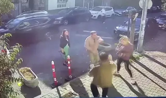 Bakırköy'de kedisinin tıraşını beğenmeyen kadın, veteriner teknikerini darbetti