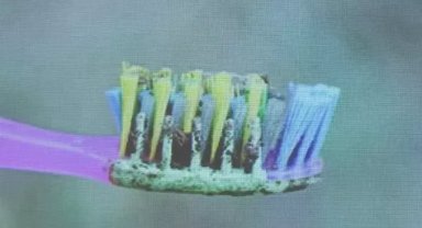 Bilimsel sunumda ortaya çıktı: 6 kişilik ailenin tamamı aynı diş fırçasını kullandı