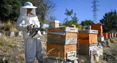 Bornova’da Arıcılık Kursu kayıtları başladı
