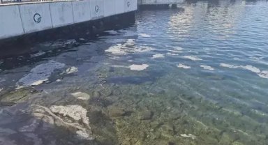 Çanakkale Boğazı'nda müsilaj tespit edildi