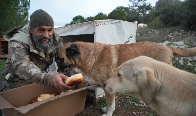 Dağdaki yüzlerce terk edilmiş sokak hayvanı her gün onun yolunu gözlüyor