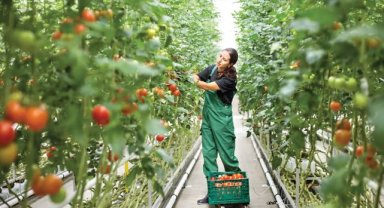 Gelişmiş ülkelerin enerjide dışa bağımlılığı azaltma stratejilerinde önemli payı olan jeotermal, karbonsuzlaştırma ve temiz enerji geçişi politikalarında da kritik rol üstleniyor.