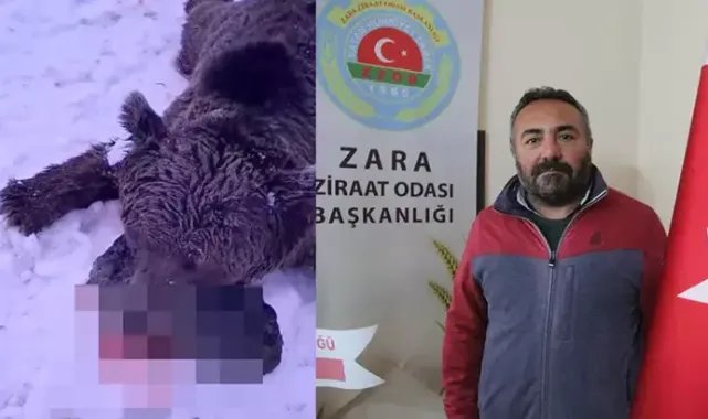 Gezintiye çıkan kişiye saldırıp öldüren ayı, vuruldu