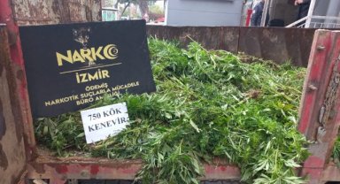 Hayvan damında uyuşturucu imalatı ve ticaretine polis operasyonu