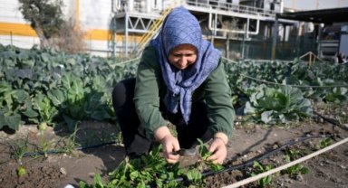 Kadın eli değdi, Kent Bostanları bereket saçtı