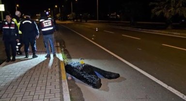 Kardeşini korumak isteyen ağabey, otomobilin çarpmasıyla hayatını kaybetti