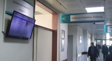 Prof. Dr. Alper Şener: El, ayak, ağız hastalığı ciddi bir risk oluşturmaz
