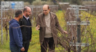 Buca'da hedef; agro turizm
