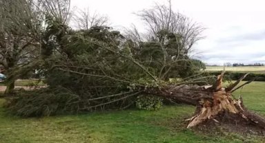 Fransa'da 19 vilayette turuncu alarm verildi