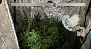 İzmir'de narkotik polisinden zehir tacirlerine baskın: 3 tutuklama