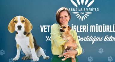 Karabağlar Belediyesi’nden sokak hayvanlarına modern hizmet