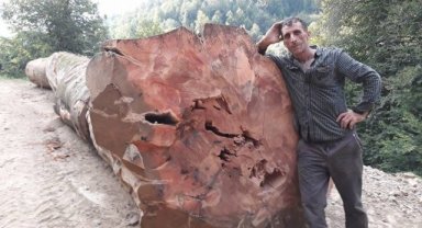 Kestiği ağaç üzerine devrilen orman işçisi hayatını kaybetti