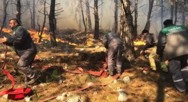 Antalya'da orman yangını