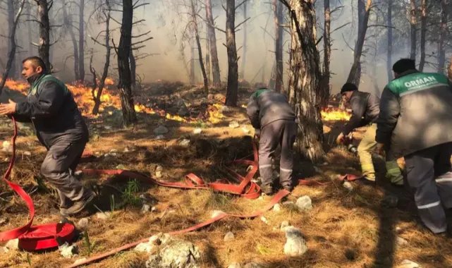 Antalya'da orman yangını