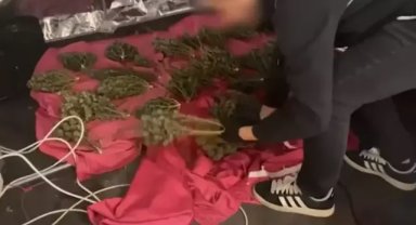 İstanbul’da düzenlenen 'Narkokapan 14: Şehit Bora Barış Güler' operasyonunda 153 şüpheli yakalandı