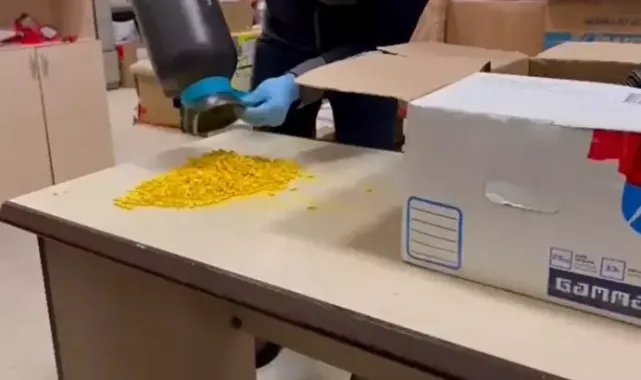 Kargoyla uyuşturucu sevkiyatına gözaltı