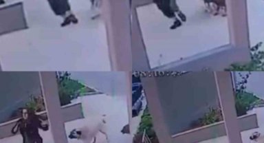 Mersin'de Sokak köpekleri kadına saldırdı