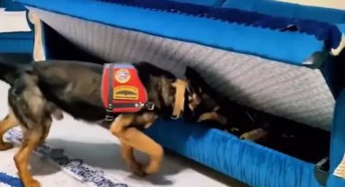 Tunceli'de, senetle 200 milyon TL'lik dolandırıcılığa 4 gözaltı