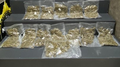 Otomobildeki uyuşturucular, narkotik köpeğine yakalandı