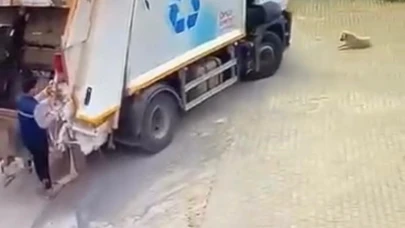 Çiğli Belediyesi çöp kamyonu köpeği ezdi