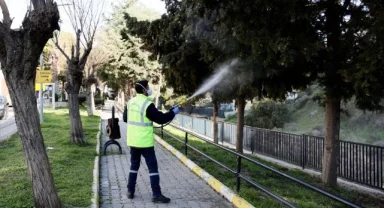 Balçova’da ilaçlama seferberliği