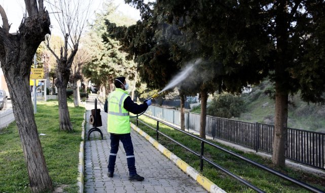 Balçova’da ilaçlama seferberliği