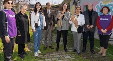 Bir patili dost edinmeye ne dersiniz?