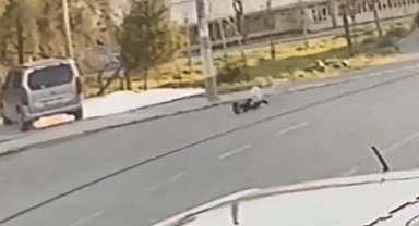 İzmir'de yine sokak köpeği, yine çocuğa saldırı