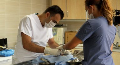 Karşıyaka Belediyesi’nden toplu kısırlaştırma hamlesi