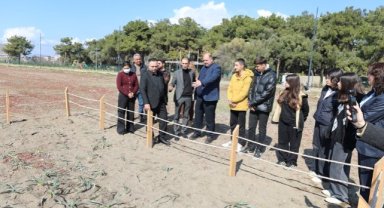 Kum Zambakları Koruma Altında