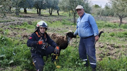 Kuyuya düşen koyunu itfaiye kurtardı