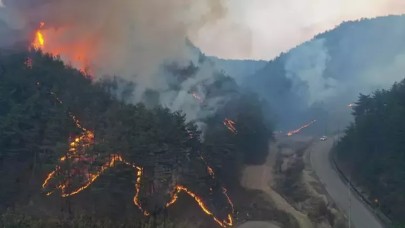 Güney Kore'de yangın söndürme helikopteri düştü: 1 ölü