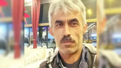 Başına dal düşen ağaç kesim işçisi öldü