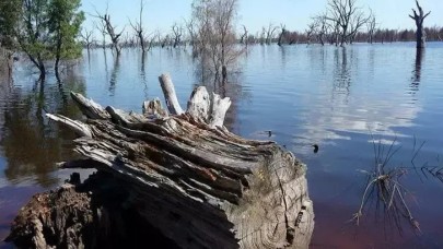 Kenya'da 6 kişi kolera salgınından hayatını kaybetti