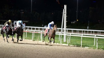 TSYD İzmir Şubesi Koşusu 26. kez düzenlenecek