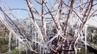 Meteoroloji'den 'zirai don' uyarısı