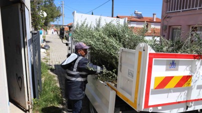 Urla’da zeytin üreticisine 7 bin fidan desteği