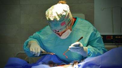 Dünya Veteriner Hekimler Günü’nde İzmirli veteriner hekimlerden çağrı